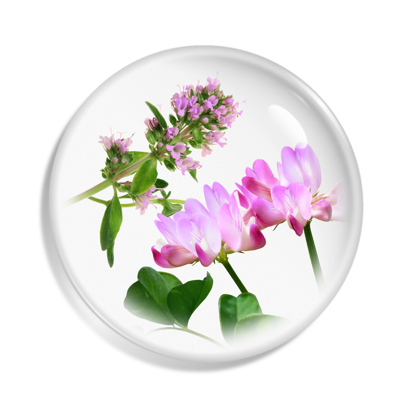 EG淨化精華EX